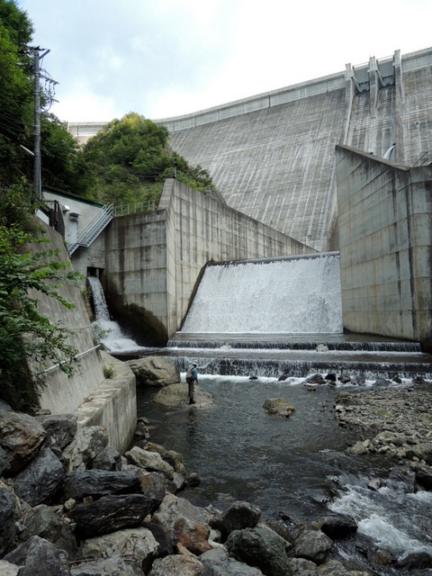 DSCN0110.jpg