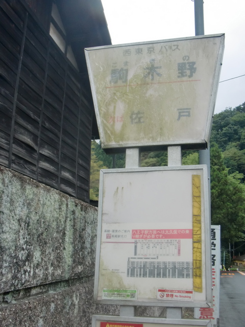 CIMG8102.JPG