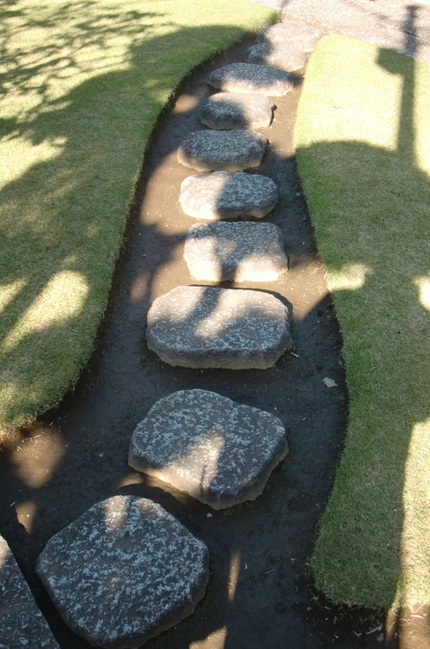 CIMG8316.JPG