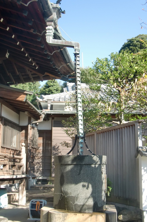 CIMG8317.JPG