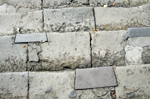 CIMG8320q.JPG