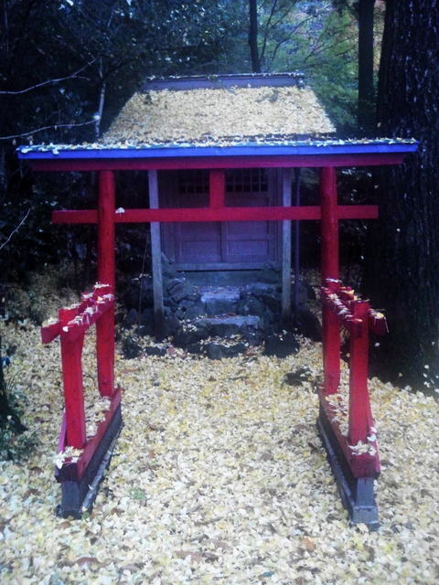 NCM_0336あ.jpg