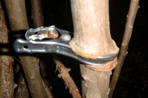 2012０１０１０１.jpg
