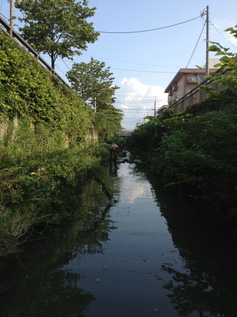 谷沢川０１.jpg