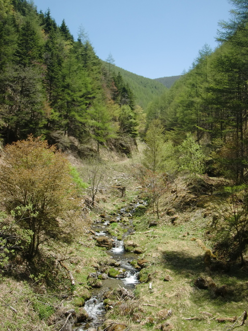 CIMG9141.JPG