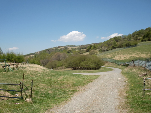 CIMG9144.JPG