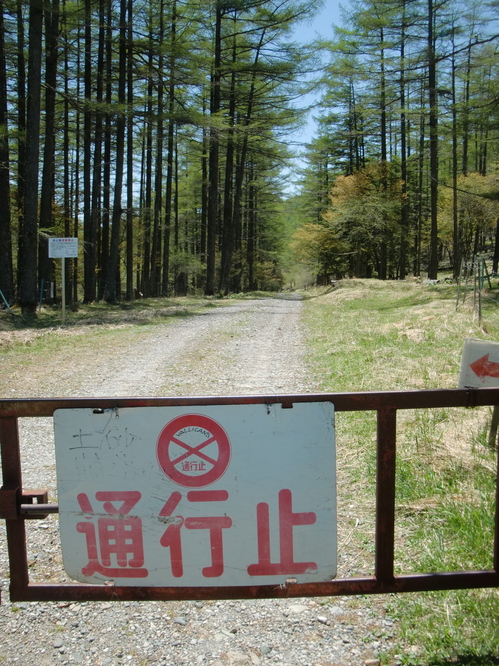 CIMG9146.JPG