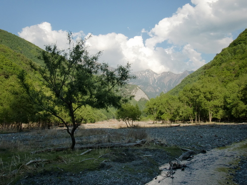 CIMG9190.JPG