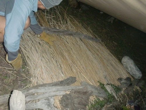 CIMG9254.JPG