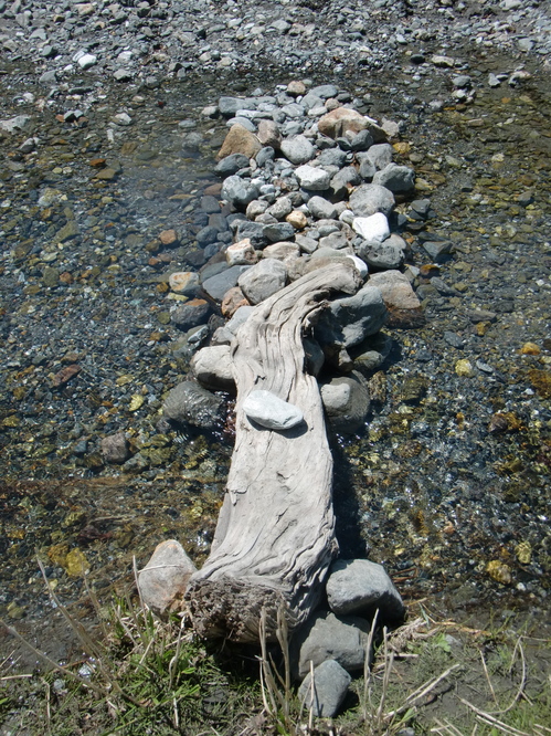 CIMG9380.JPG