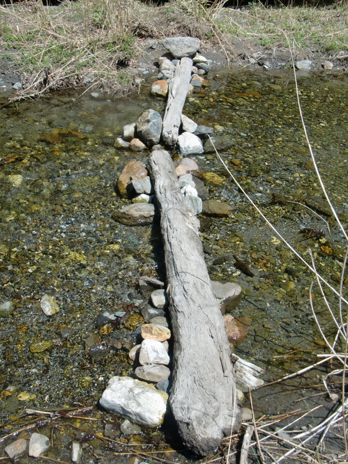 CIMG9381.JPG