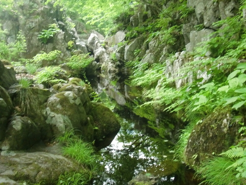 CIMG0499.JPG