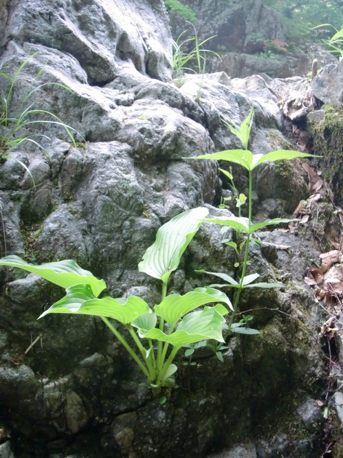CIMG0503.JPG