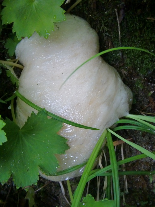 CIMG0528.JPG