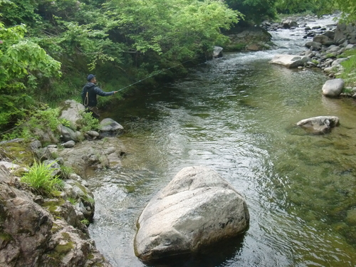 CIMG0558.JPG