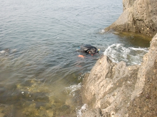 CIMG0680.JPG