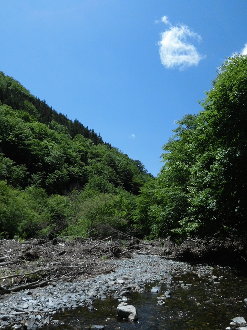 CIMG0138.jpg