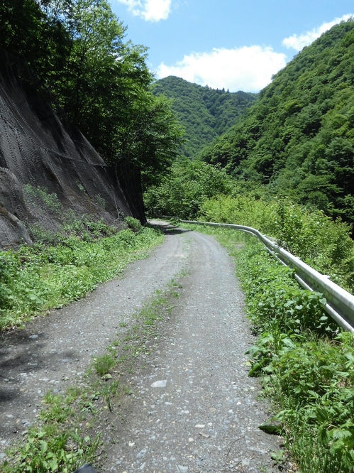 CIMG0146.jpg