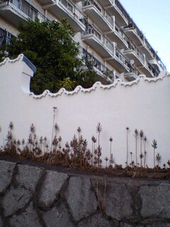 090426_1721~0001.jpg