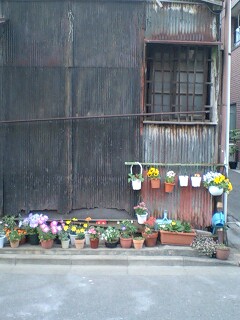 090504_1714~0001.jpg