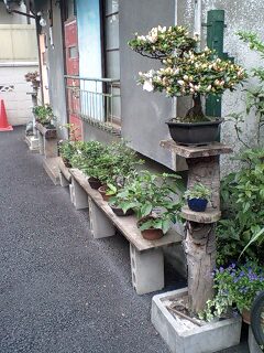 090519_1416~0001.jpg