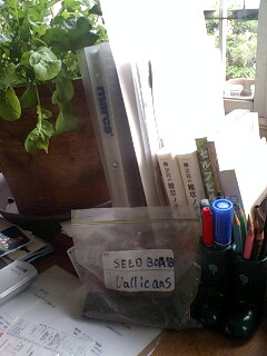 090522_1630~0001.jpg