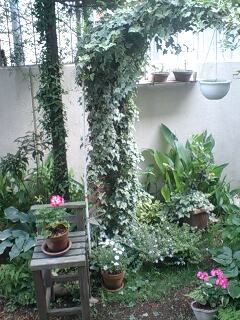 090523_1436~0002.jpg