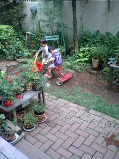 090523_1438~0001.jpg