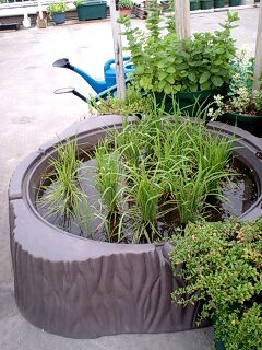 090604_1805~0002.jpg
