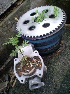 090702_1821~0001.jpg