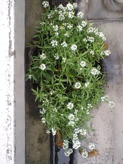 090702_1823~0001.jpg