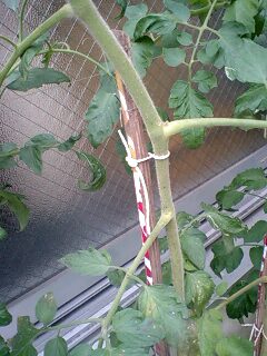 090807_1418~0002.jpg