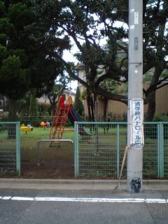 090812_1321~0001.jpg