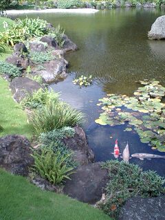 090822_1409~0001.jpg