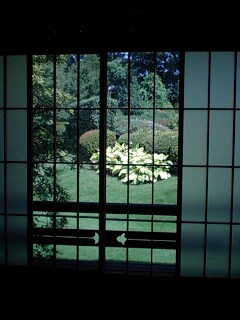 090822_1414~0002.jpg