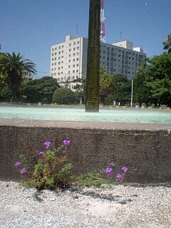090825_1044~0001.jpg
