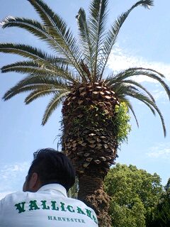090825_1050~0001.jpg