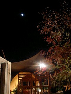 091108_0010~0001.jpg