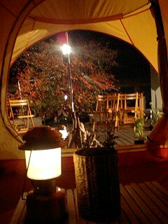 091108_0013~0001.jpg