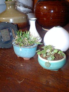 091218_0023~0002.jpg