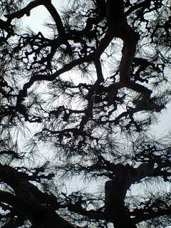 100213_1403~0002.jpg