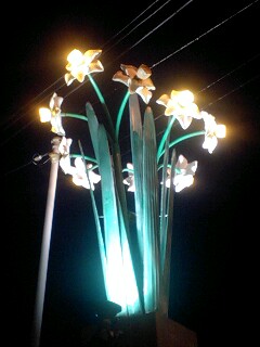 100303_1808~0001.jpg