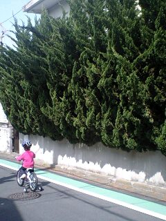 100313_1143~0002.jpg
