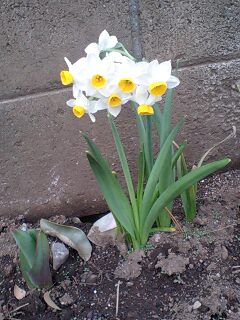 100313_1651~0001.jpg