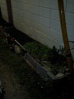 100403_0142~0001.jpg