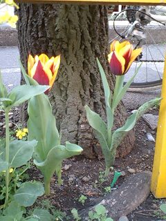 100406_1344~0003.jpg