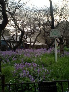 100409_1741~0001.jpg
