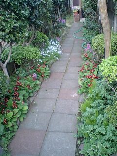 100411_1650~0001.jpg