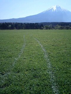 100515_0843~0001.jpg