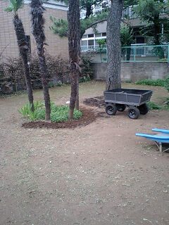 100611_1701~0001.jpg